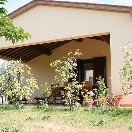 Graziosa Casetta Con Piscina Кастаньето-Кардуччи Экстерьер фото